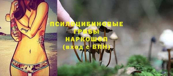mix Заводоуковск