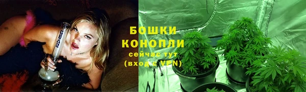 молекула духа Заволжск