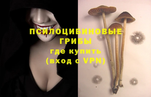 mix Заводоуковск