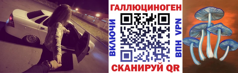 Галлюциногенные грибы Cubensis  Купить  Калач 